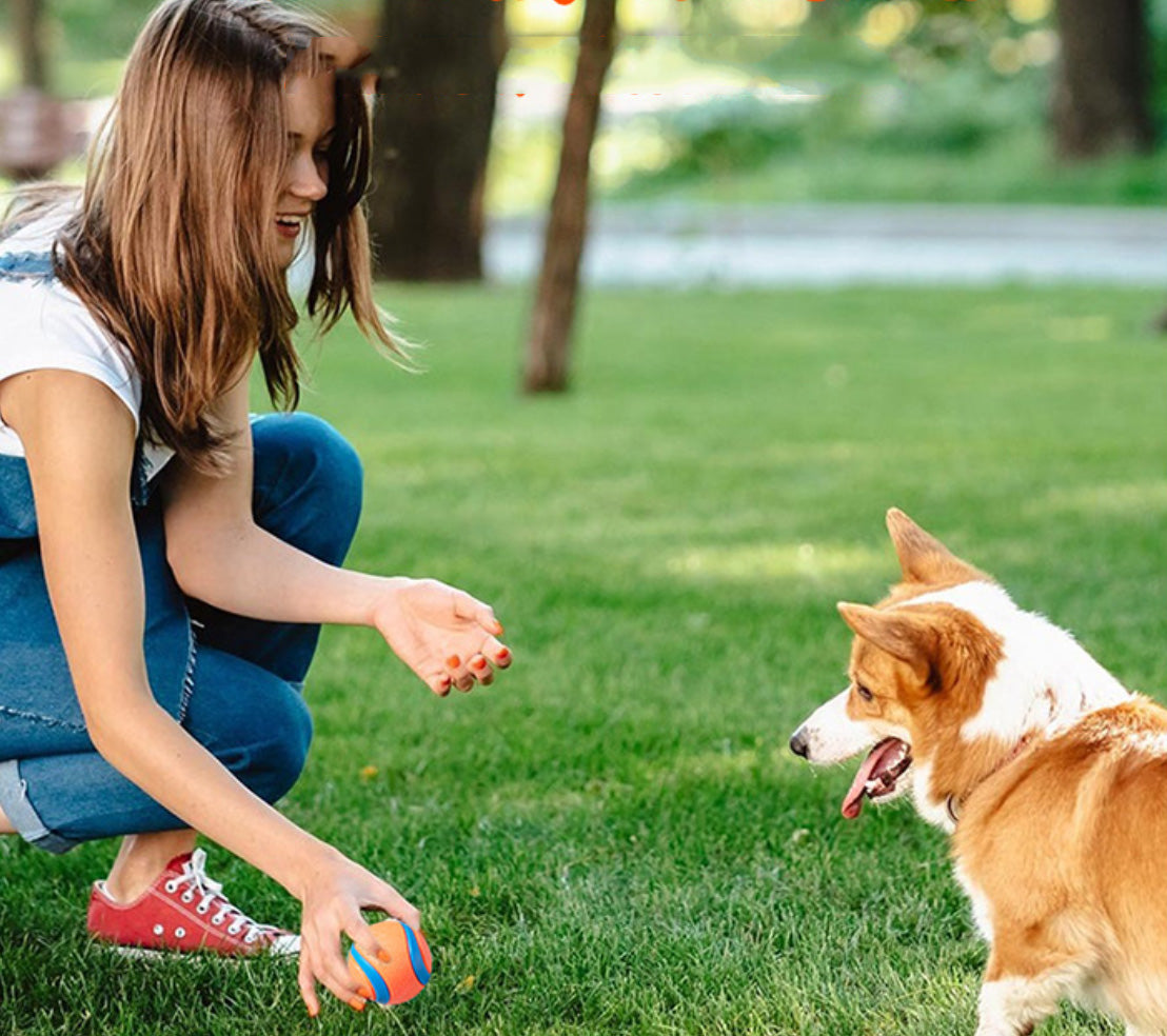 iKeelo dog ball toy, made of durable rubber, 2.3" in diameter and best suits dogs weighing 20-60lbs